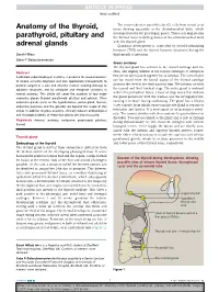 Anatomy of the Thyroid, Parathyroid, Pituitary and Adrenal Glands, Surgery (2017), BASIC SCIENCE