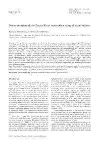 Demonstration of the Bzura River Restoration Using Diatom Indices