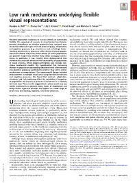 Low Rank Mechanisms Underlying Flexible Visual Representations COLLOQUIUM PAPER