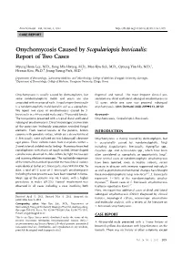 Onychomycosis Caused by Scopulariopsis Brevicaulis Ann Dermatol Vol