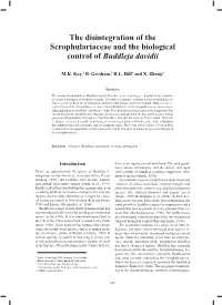 The Disintegration of the Scrophulariaceae and the Biological Control of Buddleja Davidii