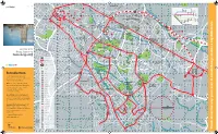 East Gloucester Locality Map & Guide