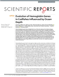 Evolution of Hemoglobin Genes in Codfishes