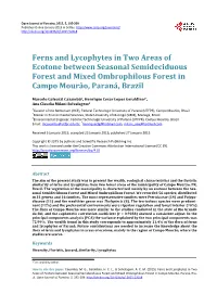 Ferns and Lycophytes in Two Areas of Ecotone Between Seasonal Semideciduous Forest and Mixed Ombrophilous Forest in Campo Mourão, Paraná, Brazil