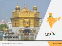 IBEF Presentataion