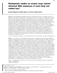 Phylogenetic Studies on Nuclear Large Subunit Ribosomal DNA Sequences of Smut Fungi and Related Taxar