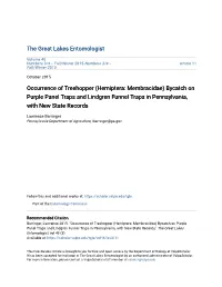 Occurrence of Treehopper (Hemiptera: Membracidae) Bycatch on Purple Panel Traps and Lindgren Funnel Traps in Pennsylvania, with New State Records