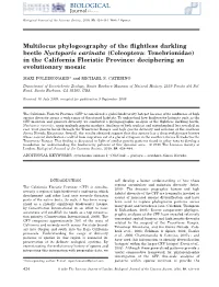 Multilocus Phylogeography of the Flightless Darkling Beetle