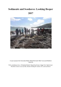 Sediments and Seashores: Looking Deeper 2017