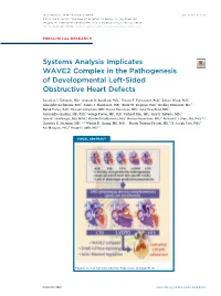 Systems Analysis Implicates WAVE2&Nbsp