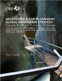 Addressing a Gap in Canada's Global Innovation Strategy