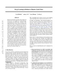 Deep Learning Is Robust to Massive Label Noise