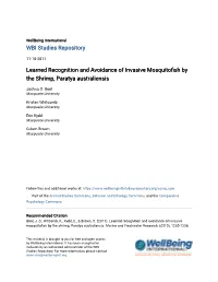 Learned Recognition and Avoidance of Invasive Mosquitofish by the Shrimp, Paratya Australiensis