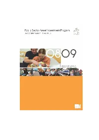 Public Sector Asset Investment Program 2008–09