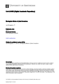 Thesis, University of Amsterdam, the Netherlands
