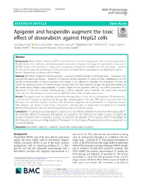 Apigenin and Hesperidin Augment the Toxic Effect of Doxorubicin Against