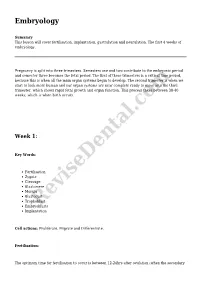 Revisedental.Com Implantation