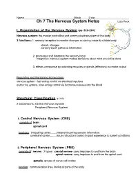 Ch 7 the Nervous System Notes Lisa Peck