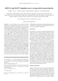 GRIN3A and MAPT Stimulate Nerve Overgrowth in Macrodactyly