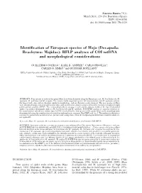 Identification of European Species of Maja (Decapoda: Brachyura: Majidae): RFLP Analyses of COI Mtdna and Morphological Considerations