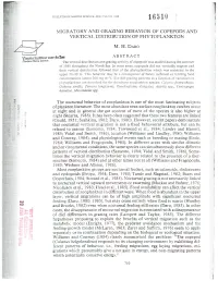 Migratory and Grazing Behavior of Copepods and Vertical Distribution of Phytoplankton