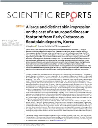 A Large and Distinct Skin Impression on the Cast of a Sauropod Dinosaur