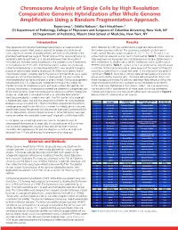 Chromosome Analysis of Single Cells by High Resolution Comparative Genomic Hybridization After Whole Genome Ampliﬁ Cation Using a Random Fragmentation Approach