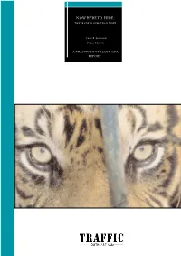 Nowhere to Hide: the Trade in Sumatran Tiger