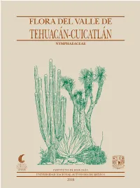 Nymphaeaceae