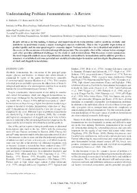 Understanding Problem Fermentations–A Review