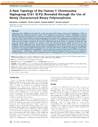 A New Topology of the Human Y Chromosome Haplogroup E1b1 (E-P2) Revealed Through the Use of Newly Characterized Binary Polymorphisms