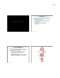 Cellular Respiration – Requires Oxygen, Produces Carbon Dioxide