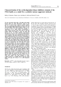 Characterization of the Cyclin-Dependent Kinase Inhibitory Domain of the INK4 Family As a Model for a Synthetic Tumour Suppressor Molecule