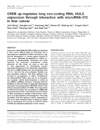 CREB Up-Regulates Long Non-Coding RNA, HULC Expression