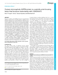 Human Microcephaly ASPM Protein Is a Spindle Pole-Focusing Factor That Functions Redundantly with CDK5RAP2 Elsa A