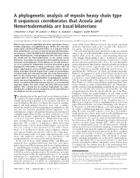 A Phylogenetic Analysis of Myosin Heavy Chain Type II Sequences Corroborates That Acoela and Nemertodermatida Are Basal Bilaterians