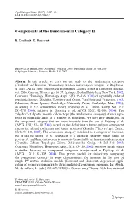 Components of the Fundamental Category II