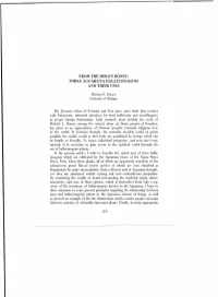 From the Hero's Bones: Three Aguaruna Hallucinogens and Their Uses