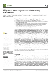 Image-Based Wheat Fungi Diseases Identification by Deep