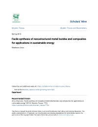 Facile Synthesis of Nanostructured Metal Borides and Composites for Applications in Sustainable Energy