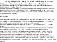 Hot Big Bang Model: Early Universe and History of Matter Initial „Soup“ with Elementary Particles and Radiation in Thermal Equilibrium