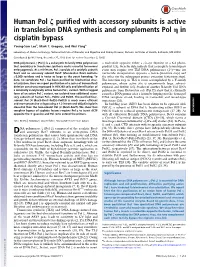 Human Pol Ζ Purified with Accessory Subunits Is Active in Translesion DNA Synthesis and Complements Pol Η in Cisplatin Bypass