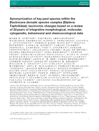 Synonymization of Key Pest Species Within the Bactrocera Dorsalis