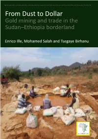 From Dust to Dollar Gold Mining and Trade in the Sudan–Ethiopia Borderland