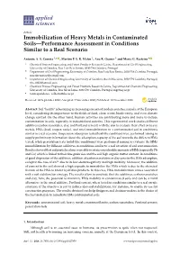 Immobilization of Heavy Metals in Contaminated Soils—Performance Assessment in Conditions Similar to a Real Scenario
