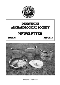 Newsletter Jul 2013