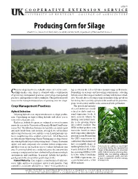 Agr79: Producing Corn for Silage