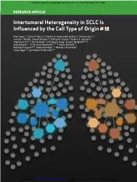 Full Text (PDF)