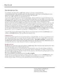 Plant Growth Sect 2