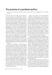 RADICAL PHILOSOPHY 2.05 / Autumn 2019 Dimensions of the Schmittian Sovereign, Referring to It New Form of Power